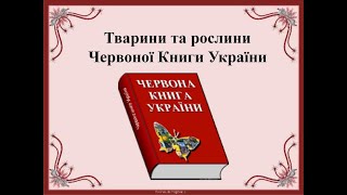 Червона книга України.  Ознайомлення з природним довкіллям.