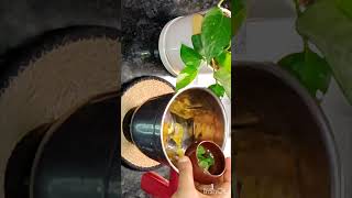 Sugarcane juice without sugarcane at home