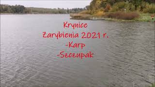 Krynice 2021 r. , Zarybienia : Karp, Szczupak