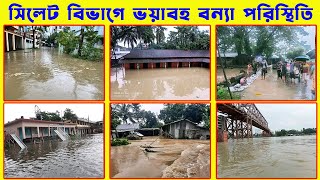 ২০২২ সালে সিলেটের বন্যা পরিস্থিতি | Sylhet flood 2022 | Bangladesh flood 2022