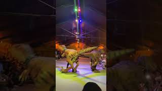 Dinosaur showdown!