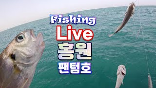 백조기 낚시( feat. 홍원 팬텀호