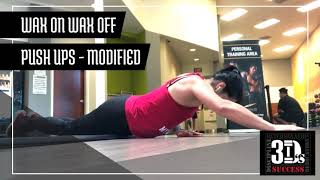 Wax on wax off push ups - Modified