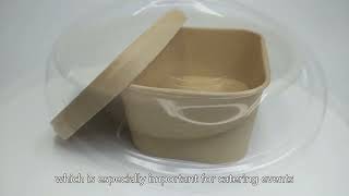 Biodegradable food container,bagasse plate,bagasse packaging,High Grade,China Factory