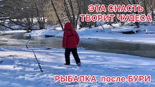 ЭТА СНАСТЬ ТВОРИТ ЧУДЕСА / ОБЛОВИЛ ВСЕХ / Рыбалка ПОСЛЕ СИЛЬНОЙ БУРИ