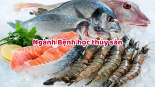 Ngành Bệnh học thủy sản là gì? Học gì? Ra trường làm gì?