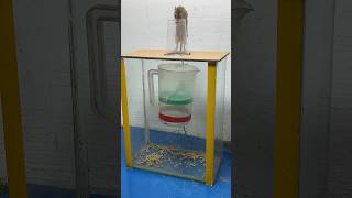 Best home mouse trap//mouse trap tips from plastic bottle #rattrap #rat #mousetrap #shorts