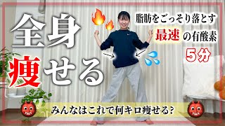 【ダイエット】これで正月太り消滅‼︎どんどん脂肪燃焼して全身痩せる有酸素運動🔥