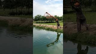 Cast net Fishing #Nat Fishing #Ammezing net Fishing