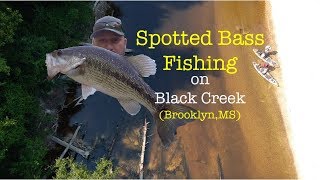 Spotted Bass Fishing on Black Creek in Brooklyn, MS