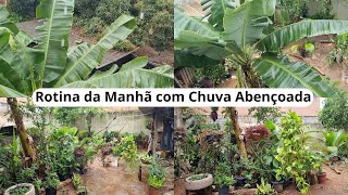 Rotina da Manhã com Chuva Abençoada