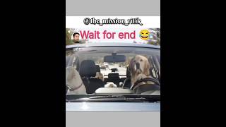 Wait for end 😂 #shorts #comedy #funnydog