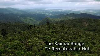 Exploring the Kaimai Ranges with the Drone