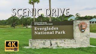 Everglades National Park, Florida - Is It Worth Visiting? || 4k Driving Video With Street Sound