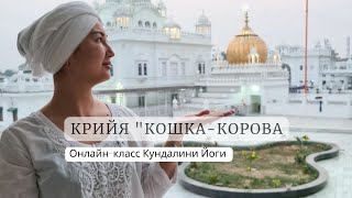 КРИЙЯ "КОШКА-КОРОВА". КУНДАЛИНИ ЙОГА