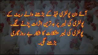 Hypocrisy Of Farmers Of Pakistan's Poultry | Feed Rate Increased