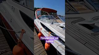 Самый популярный катер в Америке Bayliner 285 #катер #купитькатер