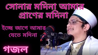 সোনার মদিনা আমার প্রানের মদিনা সব ভুলিবো কিন্তু তোমায় ভুলতে পারিনা by Makhdum Shah