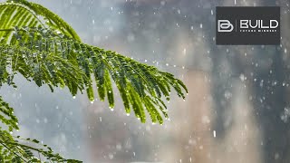 Heavy Rain with Cars passing on a wet Street - Bavarian Forest - Nature Sounds - Zwieselberg 🌲🌲🌲🌦️🌦️