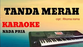 TANDA MERAH (KARAOKE) - COVER DANGDUT KOPLO