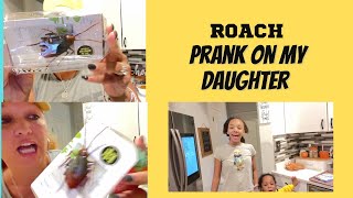 Roach prank on my daughter/ I got her good/ hilarious/