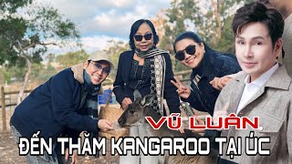 VŨ LUÂN ĐẾN THĂM KANGAROO TẠI ÚC