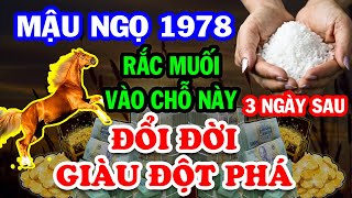 Chấn Động ĐỔI ĐỜI ĐẠI GIA, Tuổi Mậu Ngọ 1978 Đặt Muối Chỗ Này, 3 Ngày Sau TIỀN VỀ Giàu Chạm Đỉnh