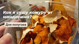 Как я сушу кожуру от мандарина? Для попугаев.