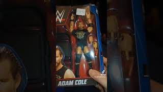 WWE figures found