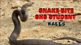 Snake Bite SHS students balls at the Dormitory