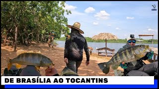 PARTIU PESCARIA NO LAGO DO PEIXE ANGICAL EM TOCANTINS #pescaria