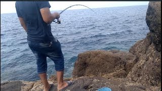 متعة صيد السمك بالقصبة fishing algerie