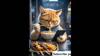 #videokucing #kucing #kucinglucu #catlover #cat