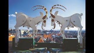 Fighting goats at Poznan