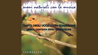 Canto degli uccelli per guarigione: suoni naturali con la musica