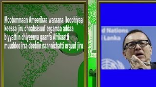 ODUU FIB || Qaala'insa Jireenyaa, Odeessaalee Wayitawaa Dolaarri Akka malee Dabale||Daawwaadhaa