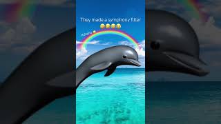 They made a symphony filter🤣😂😂 #trending #viralvideo #symphony #dolphin #shorts