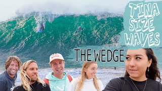 THE WEDGE IS TINA SIZE!!?? (NEWPORT, CALIFORNIA)