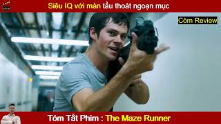 Review Phim : Giải Mã Mê Cung - The Maze Runner | Tóm Tắt Phim Hay