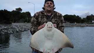 20 pound batray caught by William with Verdugoadventures!