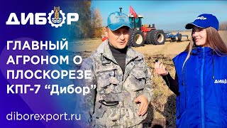 Какой плоскорез-глубокорыхлитель купить? Главный агроном СПК Пушкинский о КПГ-7 "Дибор"