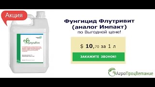 Купить Фунгицид Флутривит. Аналог Импакт. Оптом. Низкая Цена!