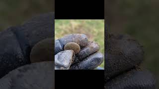 Stupid Buttons! Metal Detecting Wales