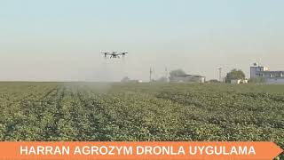 HARRAN AGROZYM DRONLA UYGULAMA