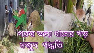 গরুর খড় কিভাবে তৈরি করা হয়,cow Doctor by mithu Ahmed