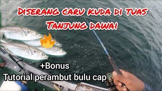 Diserang caru kuda di Tuas Tanjung Dawai