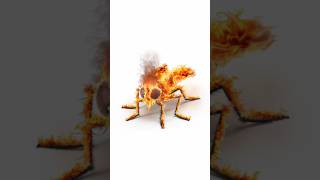 Firefly 🔥🐝 | Photoshop Tutorial #firefly #shorts #photoshop