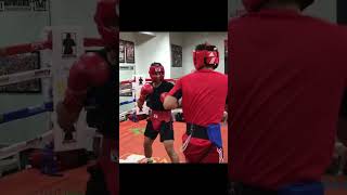 Ryan Garcia Outboxing Rolly Romero