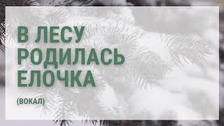 В лесу родилась ёлочка, в лесу она росла, зимой и летом стройная, зеленая была Новогодняя песня