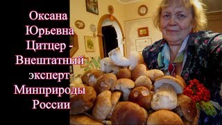 Оксана Юрьевна Цитцер о Стратегии   развития Челябинской области на долгосрочный период